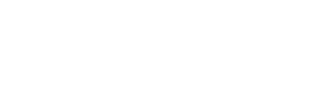 LZ Security GmbH